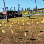 Rede de proteção de Brasilândia se mobiliza para campanha Maio Laranja com ações em escolas