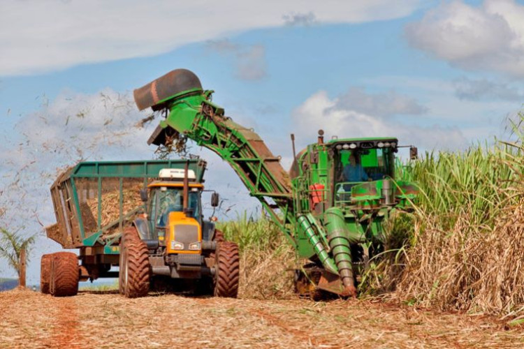 Mato Grosso do Sul responde por 13,5% da produção brasileira de etanol