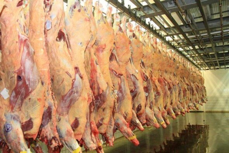 Mesmo com queda nos rebanhos, pecuária de MS bate recorde de R$ 1,8 bilhão