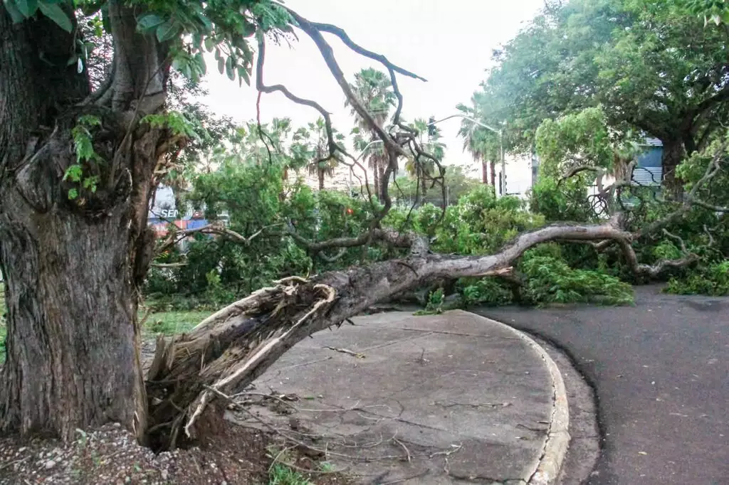 MS terá 4 dias de alerta para tempestades e ventos de até 60 km/h