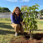 Prefeitura de Brasilândia celebra Dia Mundial do Meio Ambiente com plantio simbólico e anuncia avanços na gestão ambiental