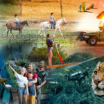 Mato Grosso do Sul destaca liderança internacional em turismo sustentável no Remote Immersion