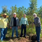 Brasilândia retoma mutirão ambiental para salvar nascente do Córrego da Aviação